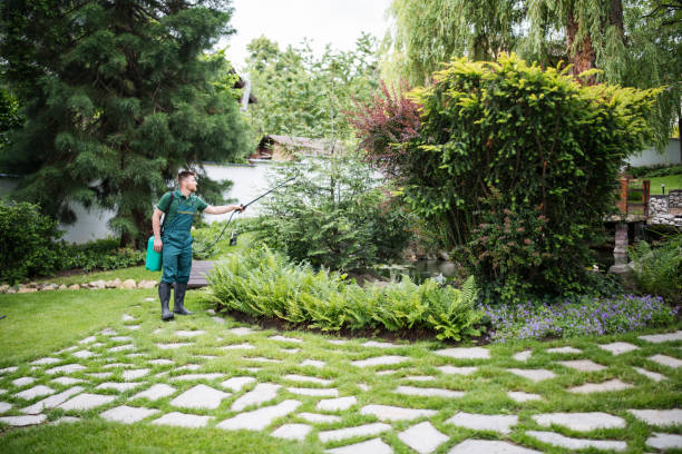 Professional Pest Control in Lake Hiawatha, NJ