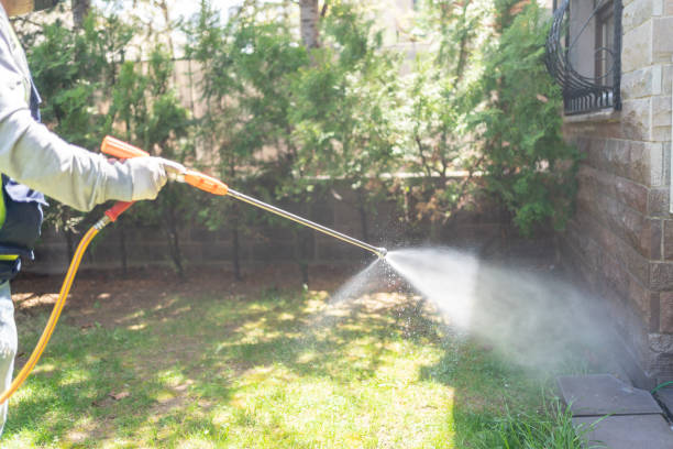 Pest Control for Restaurants in Lake Hiawatha, NJ