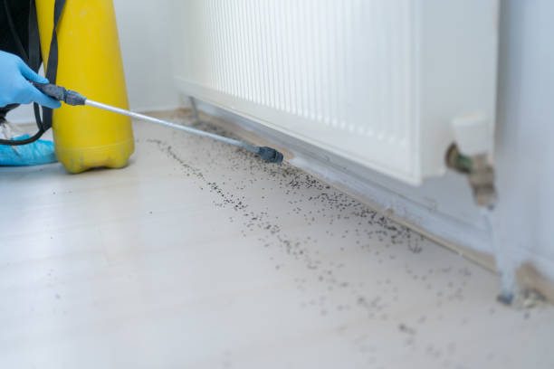 Best Affordable Pest Control Services  in Lake Hiawatha, NJ