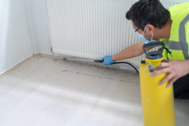 Best Wasp Removal Services  in Lake Hiawatha, NJ