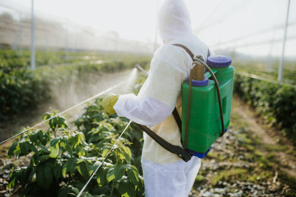 Best Pest Prevention Services  in Lake Hiawatha, NJ